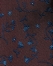 Tonal Floral Pocket Square, Burgundy, swatch